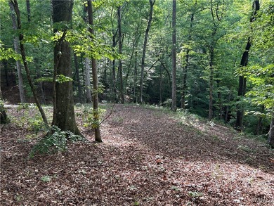 Build your next home on the quiet water's edge in Edgewater - photo 2