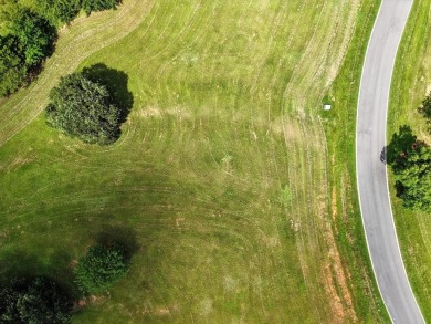 Build your dream home in the heart of Rock Creek Resort on this - photo 15