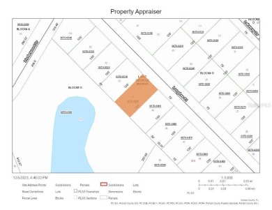 Lake Lot For Sale in Georgetown, Florida
