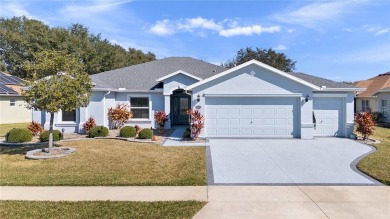 Lake Home For Sale in Leesburg, Florida