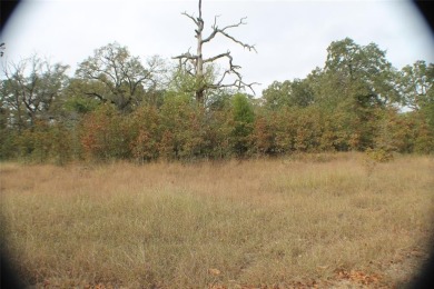 Cedar Creek Lake Lot For Sale in Malakoff Texas