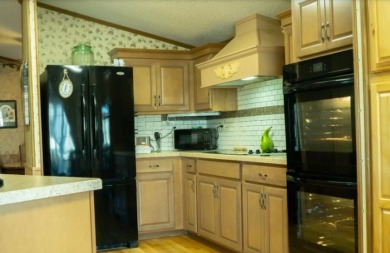 Spacious 3BR, 2BA manufactured home - photo 4