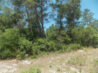 Lake Kathryn Lot For Sale in Paisley Florida