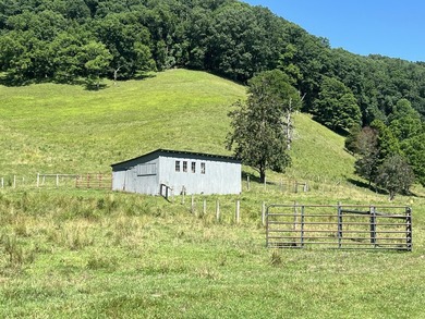 Welcome to the country! This beautiful well-maintained farm has - photo 23
