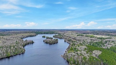 Experience Northwoods lake living at its finest on the - photo 35