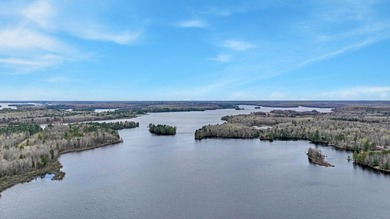 Experience Northwoods lake living at its finest on the - photo 36