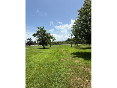 Located on beautiful Lake Saint John, this immaculate 4 bedroom - photo 10