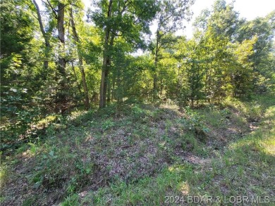 Lake of the Ozarks Acreage For Sale in Edwards Missouri