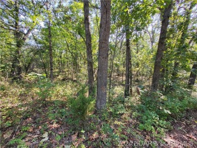 Lake of the Ozarks Acreage For Sale in Edwards Missouri