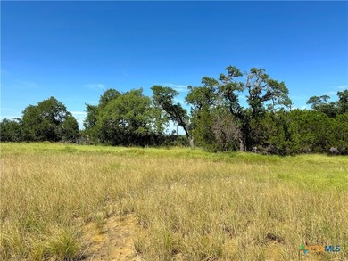 Great opportunity to own a level homesite in the sought-after - photo 11
