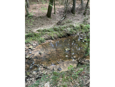 Check out this fantastic property in Carroll County, MS! Located - photo 12