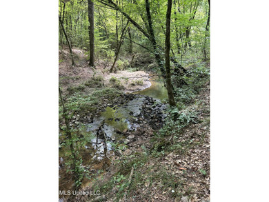 Check out this fantastic property in Carroll County, MS! Located - photo 13