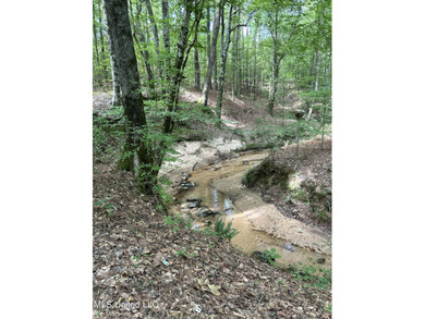 Check out this fantastic property in Carroll County, MS! Located - photo 14