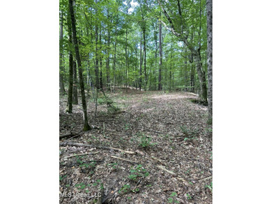 Check out this fantastic property in Carroll County, MS! Located - photo 15