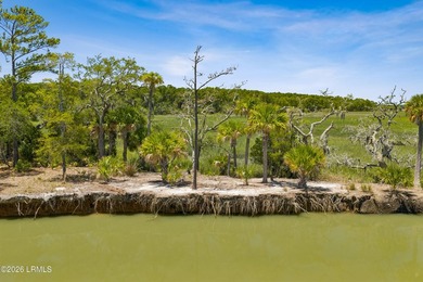 Discover an extraordinary 8-acre private island paradise, where - photo 16