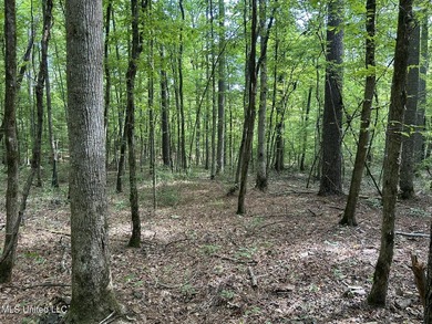 Check out this fantastic property in Carroll County, MS! Located - photo 16