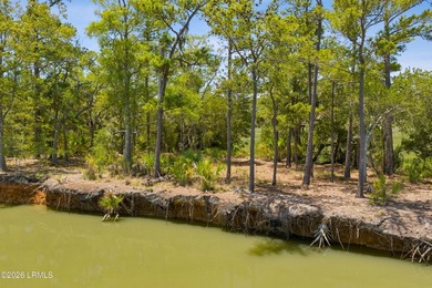Discover an extraordinary 8-acre private island paradise, where - photo 17