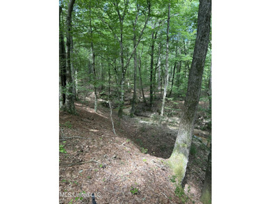 Check out this fantastic property in Carroll County, MS! Located - photo 17