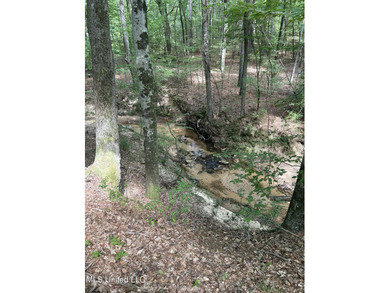 Check out this fantastic property in Carroll County, MS! Located - photo 18