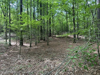 Check out this fantastic property in Carroll County, MS! Located - photo 19