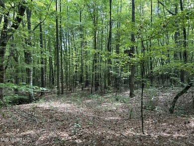 Check out this fantastic property in Carroll County, MS! Located - photo 20