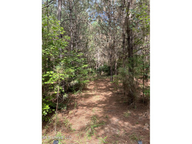 Check out this fantastic property in Carroll County, MS! Located - photo 21