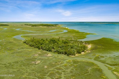 Discover an extraordinary 8-acre private island paradise, where - photo 25