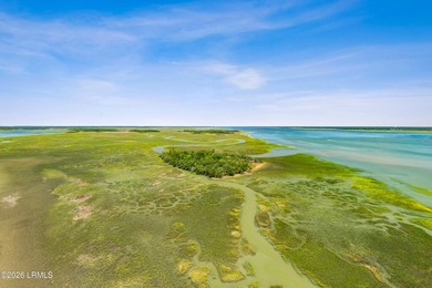 Discover an extraordinary 8-acre private island paradise, where - photo 28