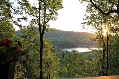 (private lake, pond, creek) Home For Sale in Jasper Georgia