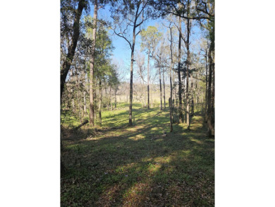 (private lake, pond, creek) Lot For Sale in Tallahassee Florida