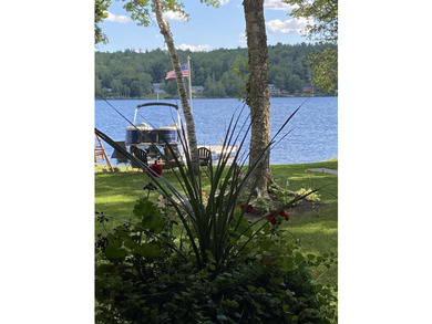 Sebec Lake on the Bowerbank Shore: This is an absolutely lovely - photo 9