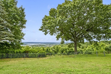 Buy this home for the view that includes Table Rock Lake and - photo 36