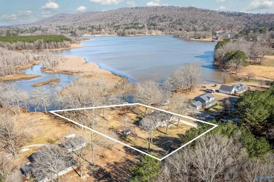Waterfront living at its best! This newly renovated one-story - photo 41