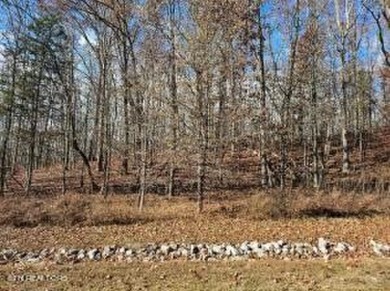 Lake Lot For Sale in Rockwood, Tennessee
