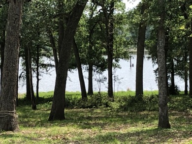 Lake Lot For Sale in Groesbeck, Texas