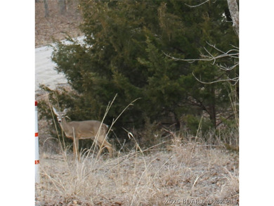 Enjoy the peace and privacy of this beautiful 12-acre wooded - photo 14