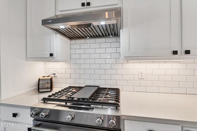 Welcome to lakefront living at its finest! This beautifully - photo 14