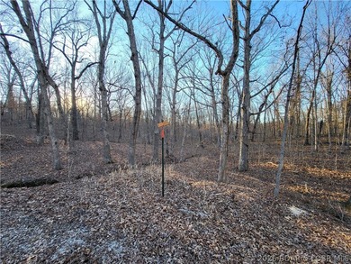 Enjoy the peace and privacy of this beautiful 12-acre wooded - photo 16