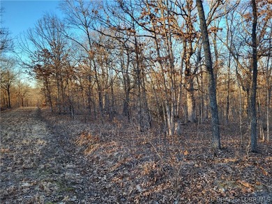 Enjoy the peace and privacy of this beautiful 12-acre wooded - photo 20