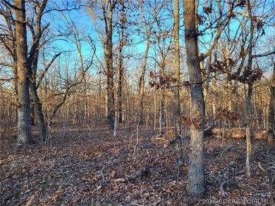 Enjoy the peace and privacy of this beautiful 12-acre wooded - photo 21