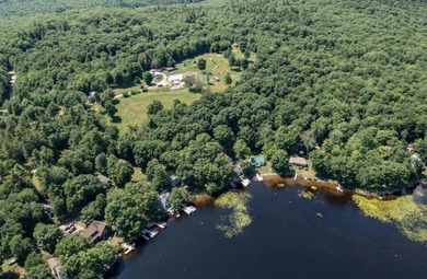 Lake Home For Sale in Washington, New Hampshire