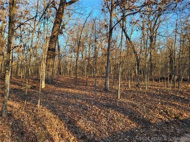 Enjoy the peace and privacy of this beautiful 12-acre wooded - photo 25