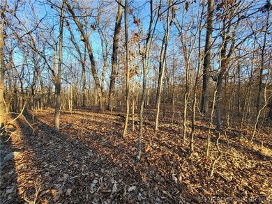 Enjoy the peace and privacy of this beautiful 12-acre wooded - photo 26