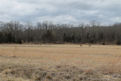 Enjoy the peace and privacy of this beautiful 12-acre wooded - photo 27