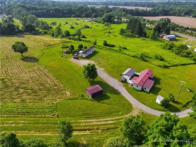 (private lake, pond, creek) Home For Sale in Tioga New York