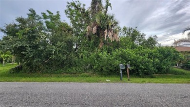Northport Waterway Lakes and Canals Lot For Sale in North Port Florida