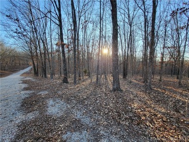 9.6 wooded acres in the gated Forbes Lake of the Ozarks Park - photo 14