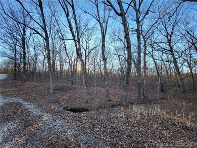 9.6 wooded acres in the gated Forbes Lake of the Ozarks Park - photo 17