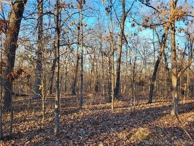 9.6 wooded acres in the gated Forbes Lake of the Ozarks Park - photo 22
