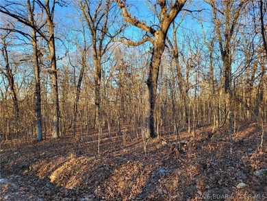 9.6 wooded acres in the gated Forbes Lake of the Ozarks Park - photo 24